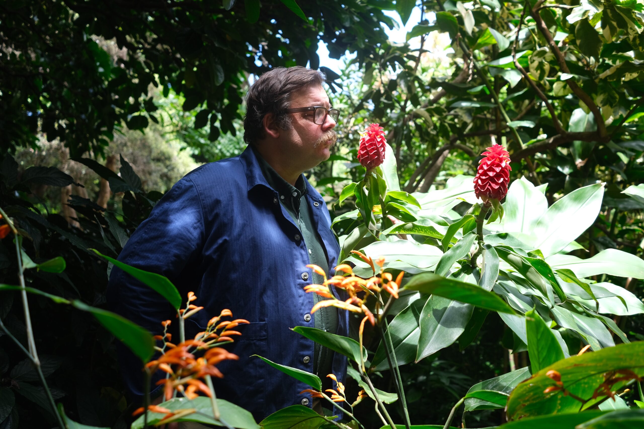 Man sieht ihn von der Seite inmitten von Pflanzen und Blüten