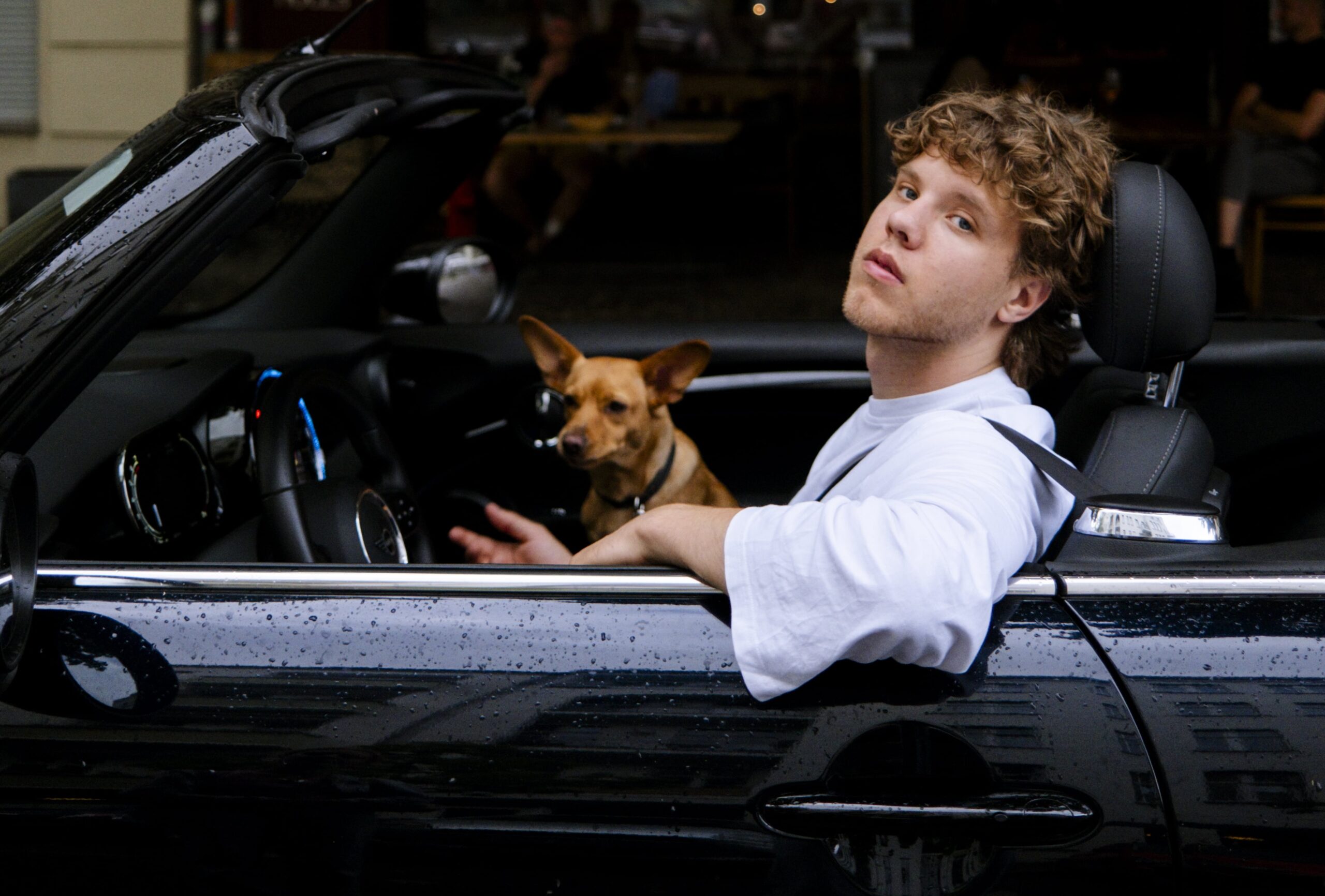 Er sitzt in einem schwarzen Auto ohne Verdeck, auf dem Beifahrersitz ein kleiner Hund